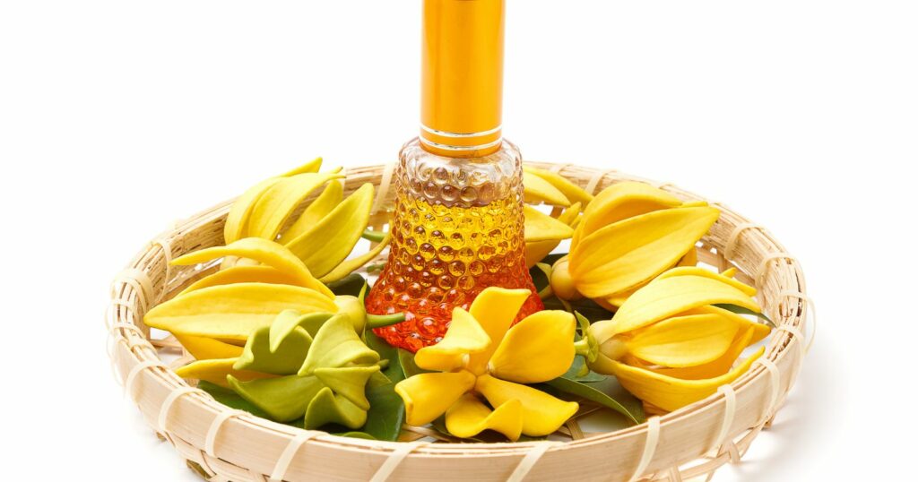 A basket of ylang ylang flowers and a perfume bottle, featuring Ylang-Ylang oil, creating a vibrant and fragrant display.